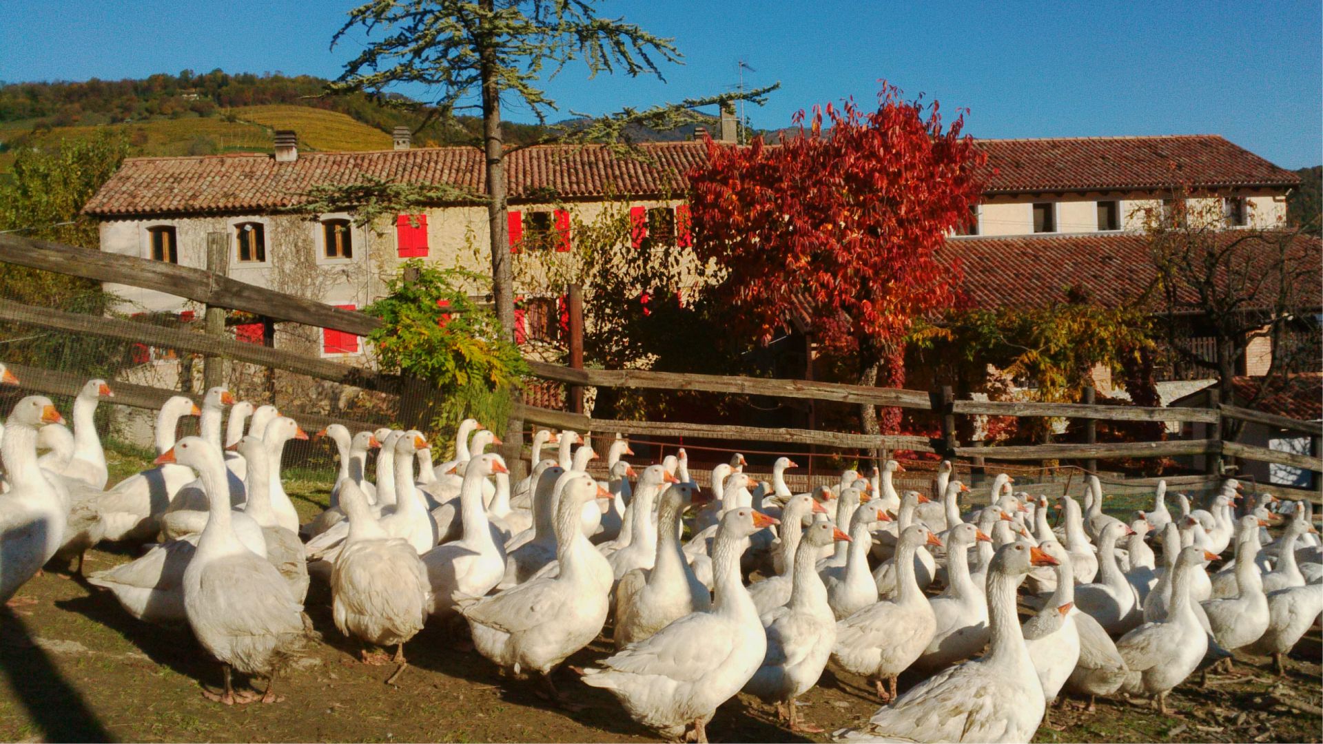 agriturismo